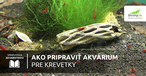 Rastliny a úkryty pre krevety