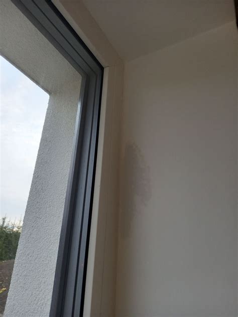 Umiestnenie asparágusu v interiéri pri okne
