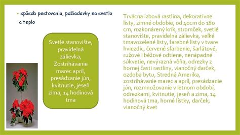 Pravidelná zálievka tekvíc