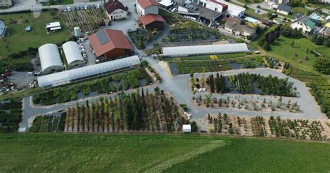 Sortiment rastlín v záhradnom centre vrátane ovocných drevín a trvaliek