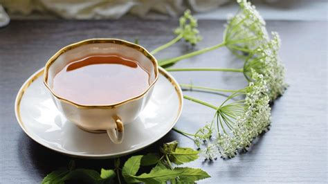 Grafika zobrazujúca účinky levandule na ľudský organizmus