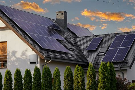Tuja a jej vplyv na energiu domova