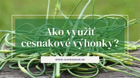 Hlávkovanie paličiaka