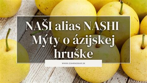 Tabuľka odrôd Nashi hrušiek s dobou zrenia