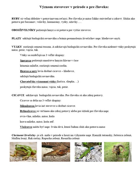 Interakcie živočíchov v prírodnom ekosystéme