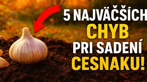 Schéma správnej hĺbky a vzdialenosti pri sadení cesnaku