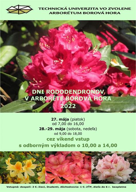 Kvitnúce rododendrony v Arboréte Borová Hora