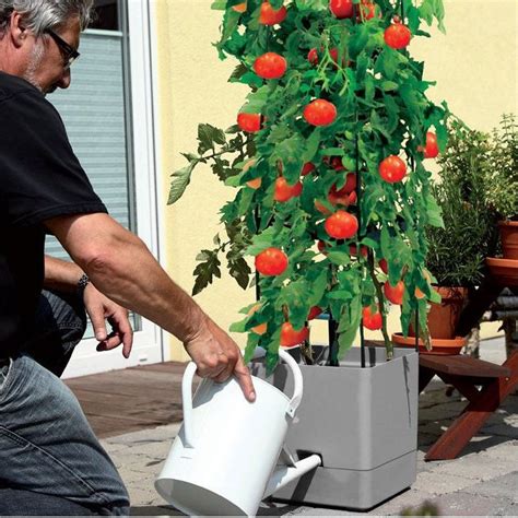 Samozavlažovací kvetináč s orchideou
