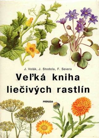 Ilustrácia rôznych liečivých rastlín