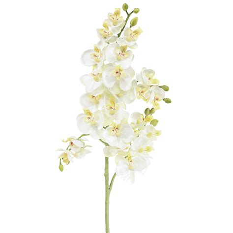 umelé orchidey