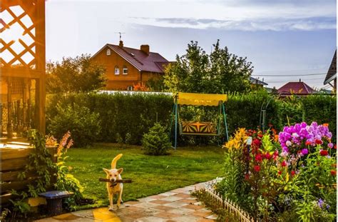 Rôzne typy tieňa v záhrade