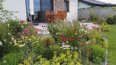 Schéma výsadby astier v záhrade