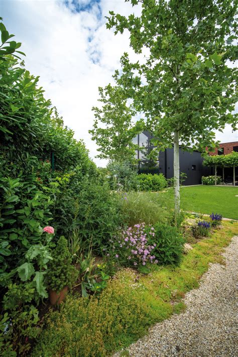 Stĺpovité stromy v modernej záhrade