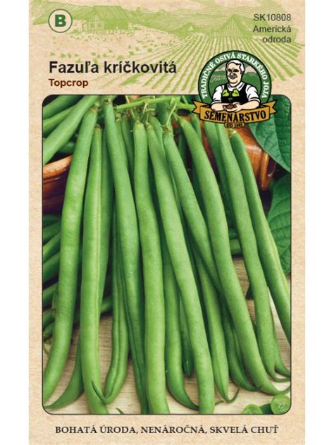 Popínavá fazuľka s bohatou úrodou strukov