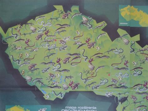 Mapa rozšírenia kasuára prilbového