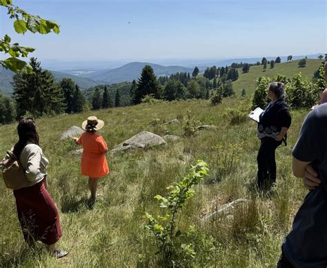 Kvitnúce horece v horskej krajine