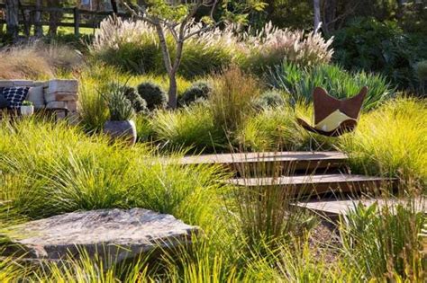 Kombinácie okrasných tráv v záhrade