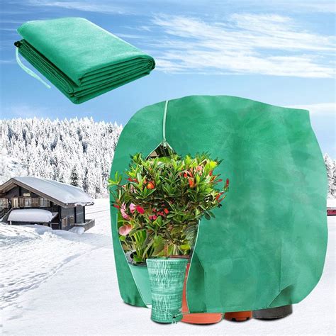 Zimná ochrana vresu