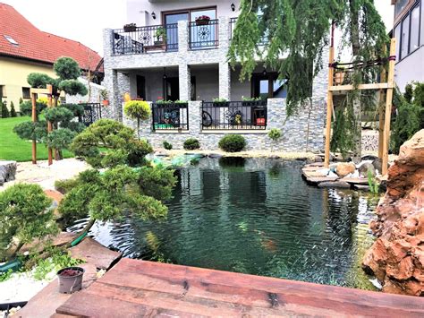 štruktúra jazierka pre koi kapry