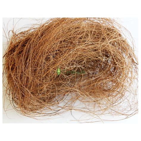 Kokosové vlákno ako rastlinné médium