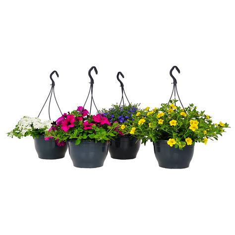 Rôzne typy držiakov na kvetináče OBI