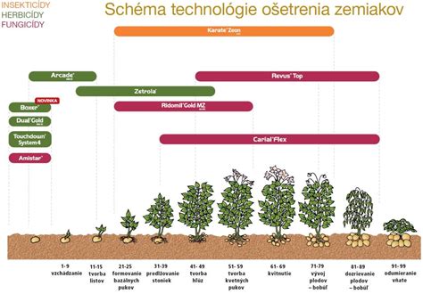 Mapa škodcov zemiakov