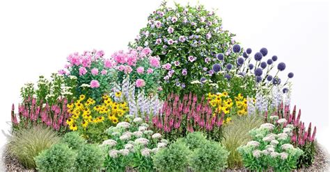 Kvitnúci záhon s klinčekmi