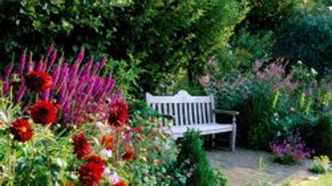 Uskladnenie hľúz georgín