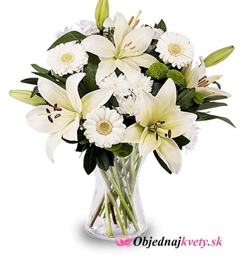 Rôzne druhy bielych kvetov