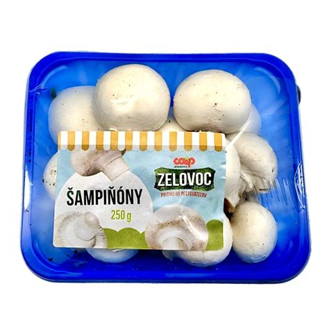 Šampiňóny pestované v pivnici