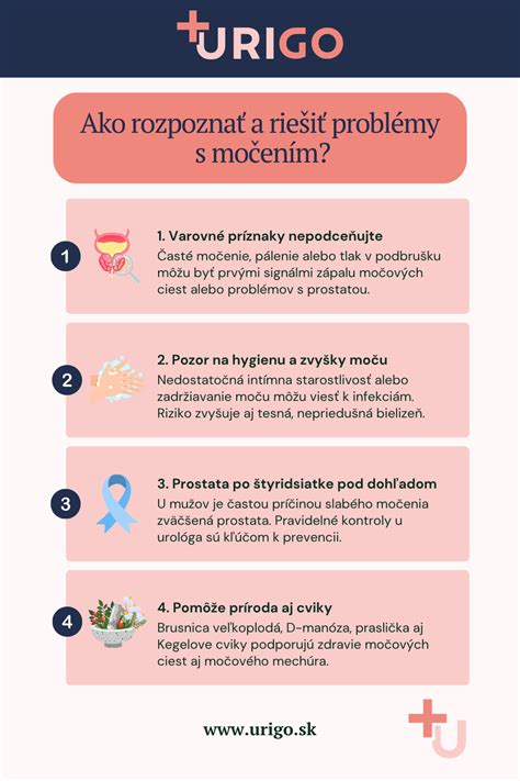 Infografika riešenia problémov s vianočnou ružou