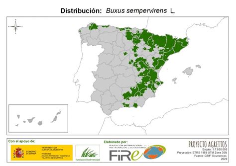 Mapa prirodzeného rozšírenia Buxus sempervirens