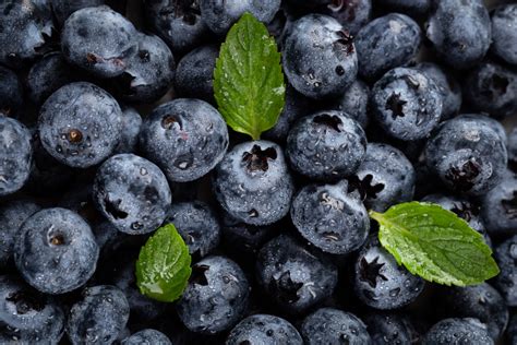 Antioxidanty v čučoriedkach