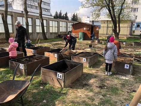 Komunitná záhrada v meste