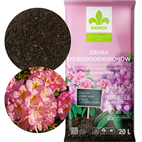 Správna pôda pre rododendrony
