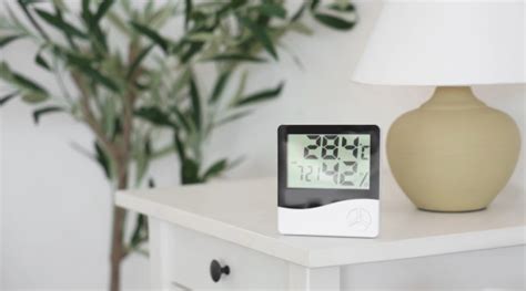 izbová teplota pre rastliny