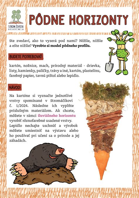 Pôdne podmienky pre cibuľoviny