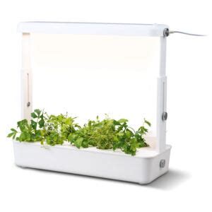 Ilustrácia rastlín pod LED osvetlením