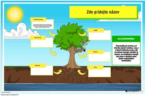 Infografika o živinách pre rastliny