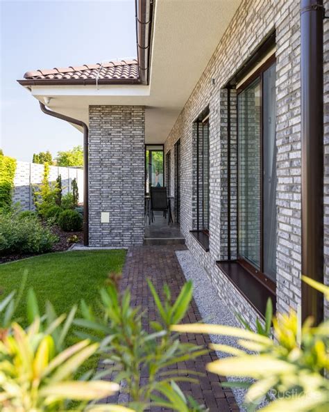 Divý vinič na fasáde domu