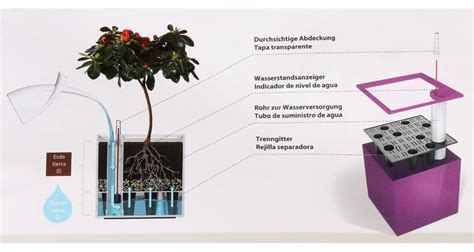 schematické znázornenie samozavlažovacieho systému kvetináča
