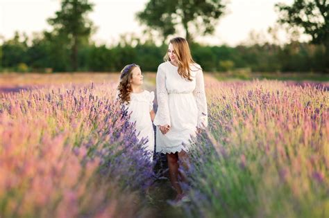Fotografia levanduľových koláčikov alebo dezertu
