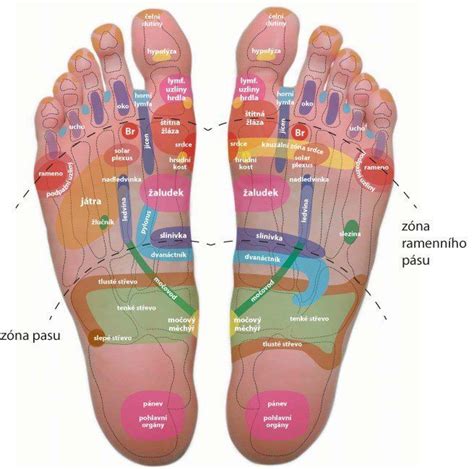 Mapa častí nohy vhodných na tetovanie