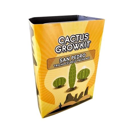 Odrezok kaktusu San Pedro pripravený na zakorenenie