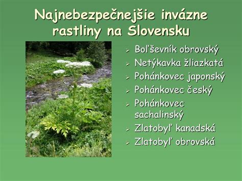 Invázne rastliny v prírode