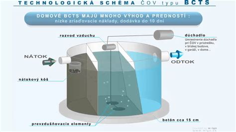 Schéma znázorňujúca proces fixácie dusíka pomocou baktérií Rhizobium na koreňoch ďateliny