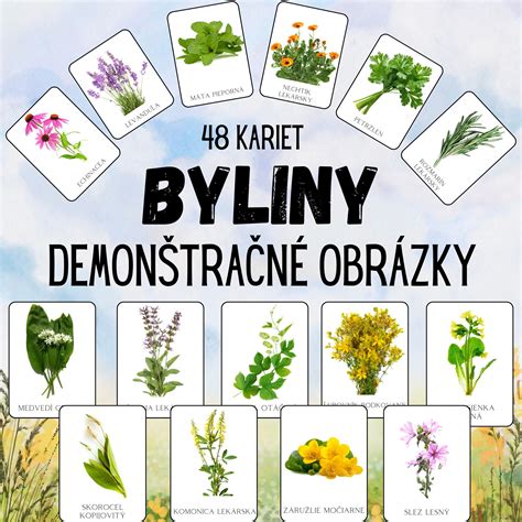 Liečivé rastliny - zber a spracovanie