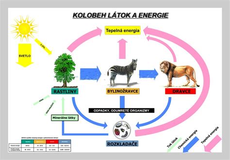 Kolobeh dusíka v prírode