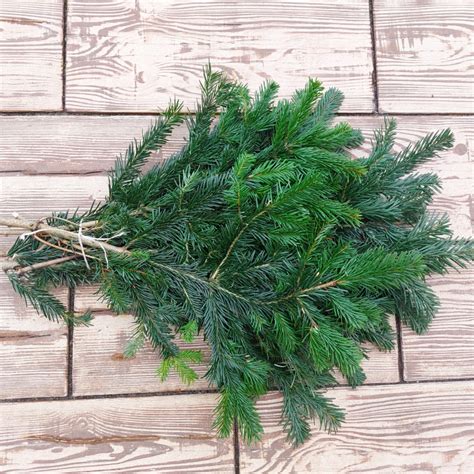 vetvičky drieňa v zime