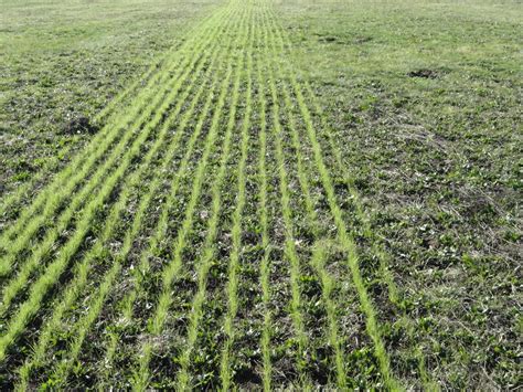 Príprava pôdy pre siatie trávnych porastov